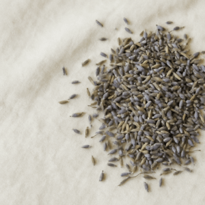 Lavanda deshidratada - Bace para macerados (25g)